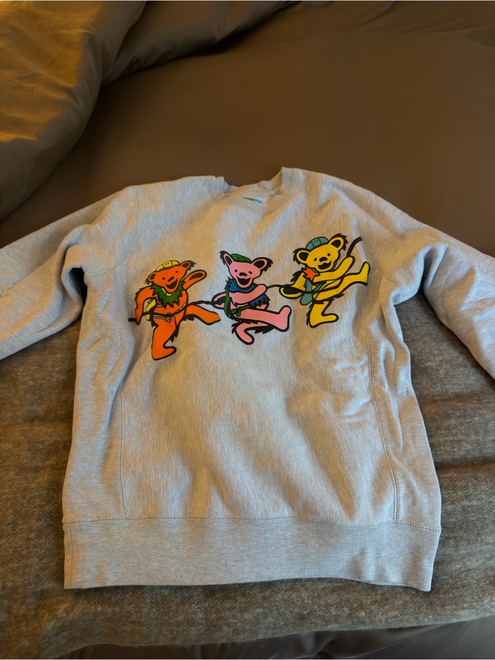 Light Gray Crewneck Sweater with Colorful Dancing Bear Graphic